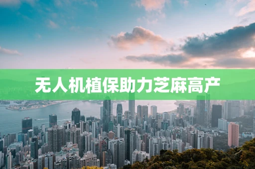 无人机植保助力芝麻高产