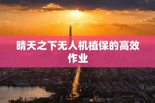 晴天之下无人机植保的高效作业