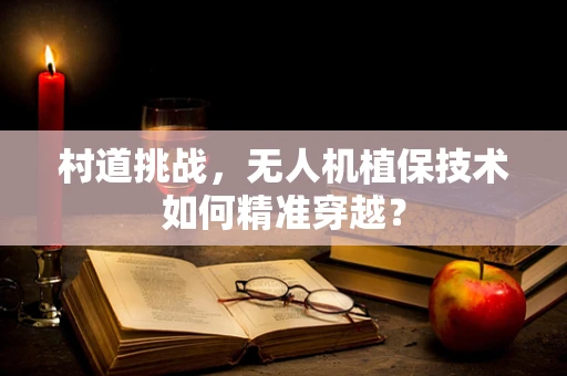 村道挑战，无人机植保技术如何精准穿越？