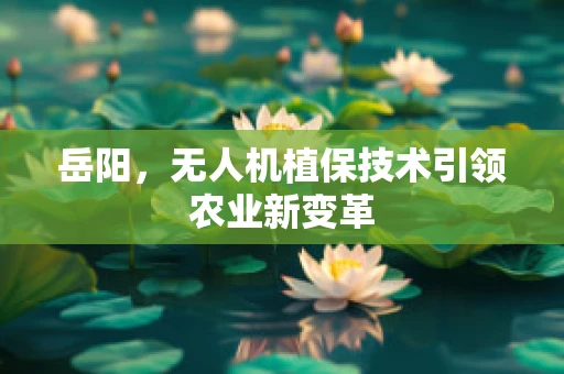 岳阳，无人机植保技术引领农业新变革