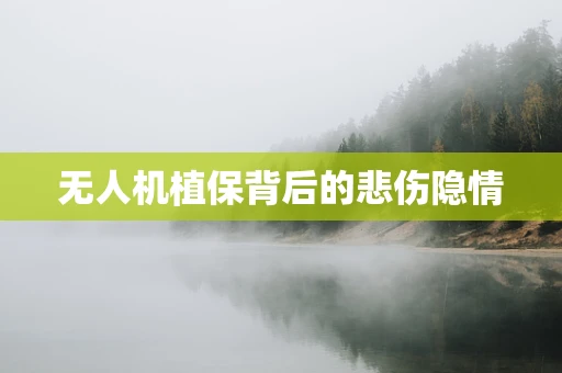 无人机植保背后的悲伤隐情
