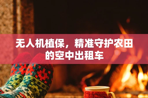 无人机植保，精准守护农田的空中出租车