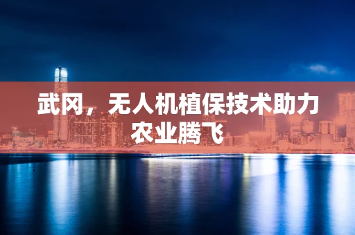 武冈，无人机植保技术助力农业腾飞