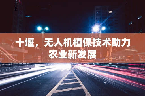 十堰，无人机植保技术助力农业新发展