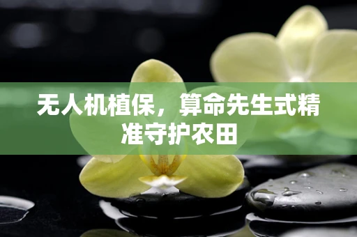 无人机植保，算命先生式精准守护农田