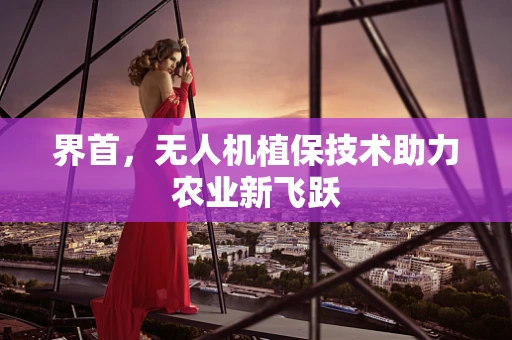 界首，无人机植保技术助力农业新飞跃