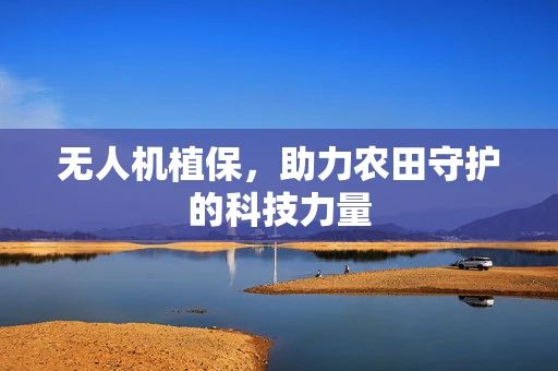 无人机植保，助力农田守护的科技力量
