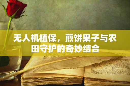 无人机植保，煎饼果子与农田守护的奇妙结合