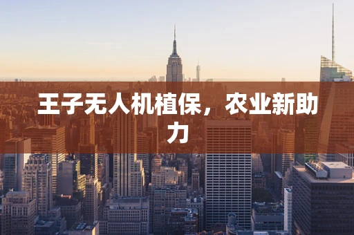 王子无人机植保，农业新助力