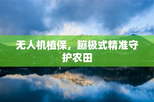 无人机植保，蹦极式精准守护农田