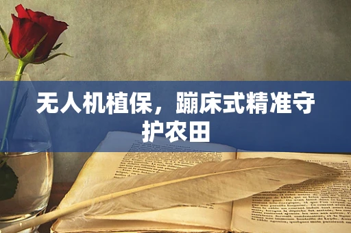 无人机植保，蹦床式精准守护农田