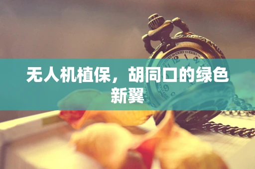 无人机植保，胡同口的绿色新翼