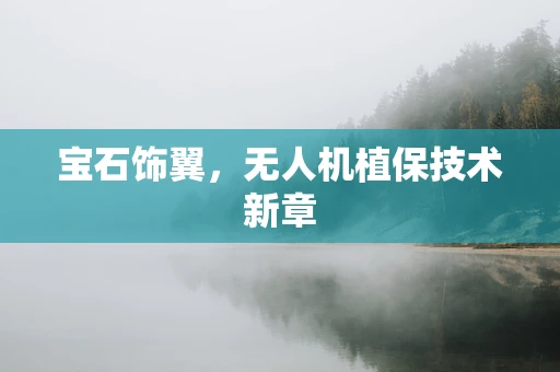 宝石饰翼，无人机植保技术新章