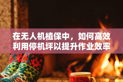 在无人机植保中，如何高效利用停机坪以提升作业效率？