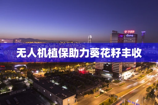 无人机植保助力葵花籽丰收