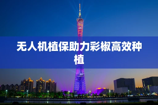 无人机植保助力彩椒高效种植