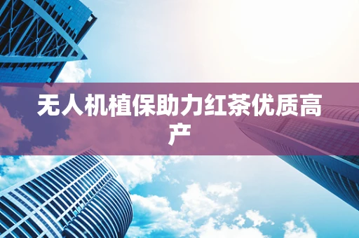 无人机植保助力红茶优质高产