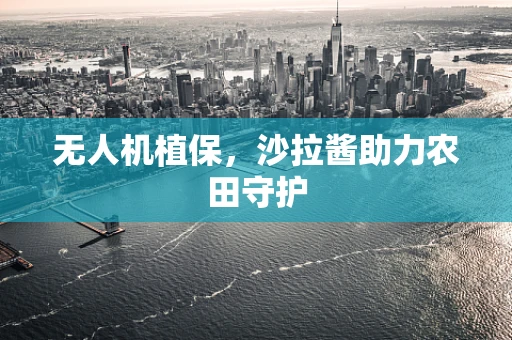 无人机植保，沙拉酱助力农田守护