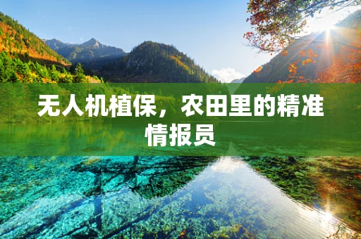 无人机植保，农田里的精准情报员