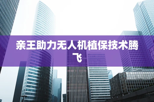 亲王助力无人机植保技术腾飞