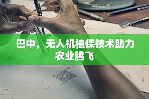 巴中，无人机植保技术助力农业腾飞