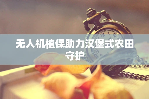 无人机植保助力汉堡式农田守护