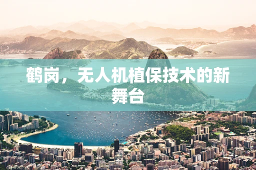 鹤岗，无人机植保技术的新舞台