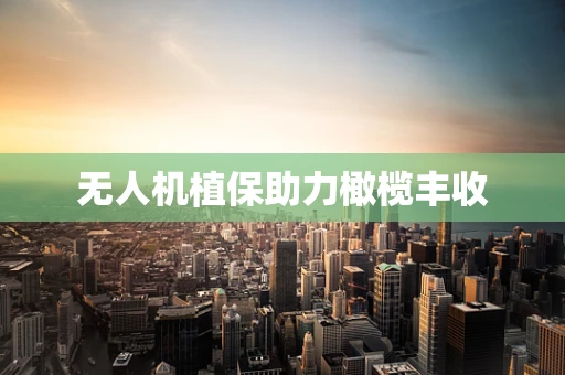 无人机植保助力橄榄丰收