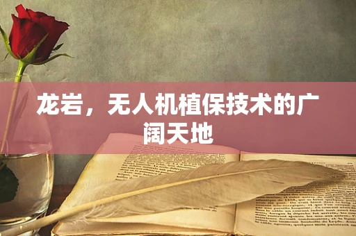 龙岩，无人机植保技术的广阔天地