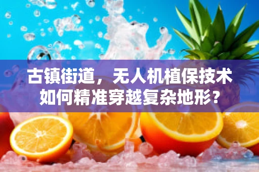 古镇街道，无人机植保技术如何精准穿越复杂地形？