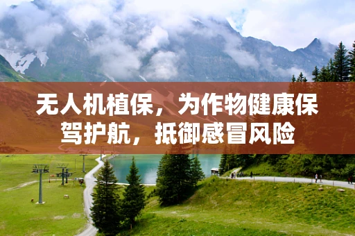 无人机植保，为作物健康保驾护航，抵御感冒风险
