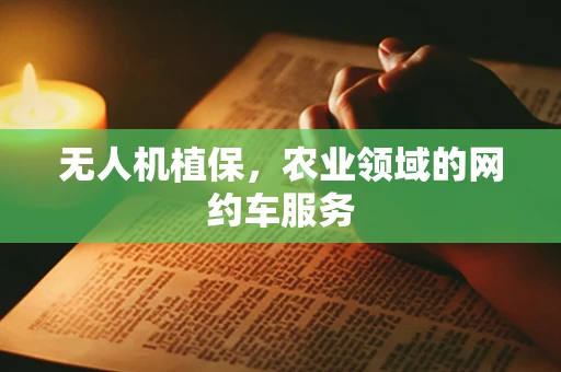 无人机植保，农业领域的网约车服务