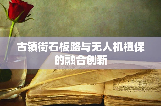 古镇街石板路与无人机植保的融合创新