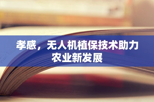 孝感，无人机植保技术助力农业新发展