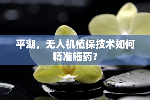 平湖，无人机植保技术如何精准施药？