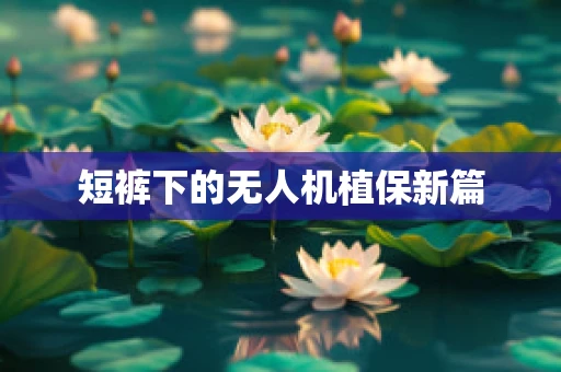 短裤下的无人机植保新篇