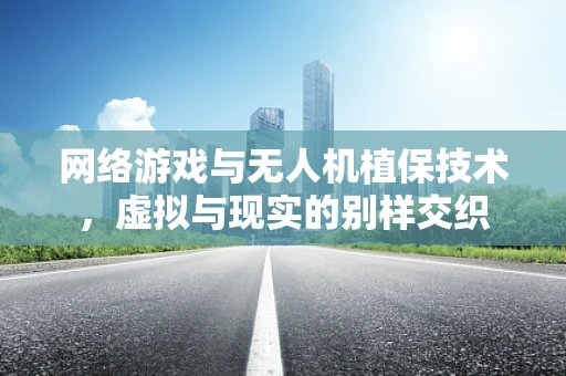 网络游戏与无人机植保技术，虚拟与现实的别样交织