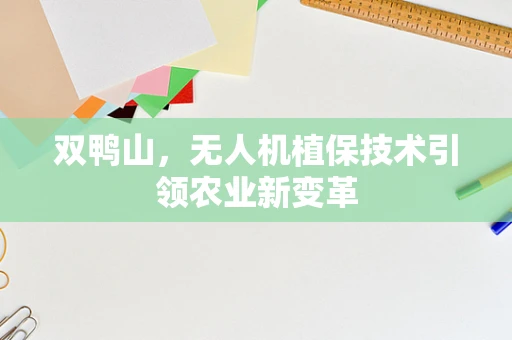 双鸭山，无人机植保技术引领农业新变革