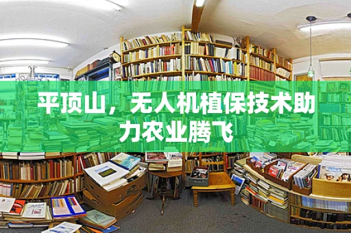 平顶山，无人机植保技术助力农业腾飞