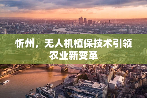 忻州，无人机植保技术引领农业新变革