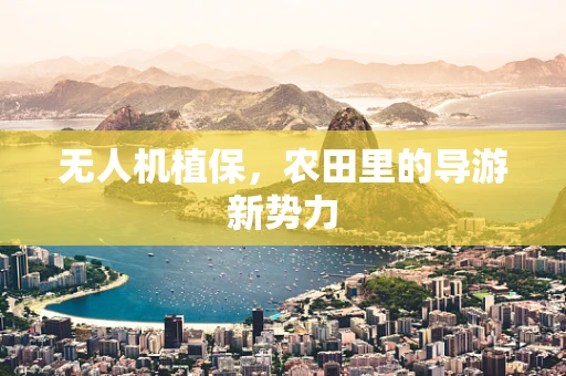 无人机植保，农田里的导游新势力