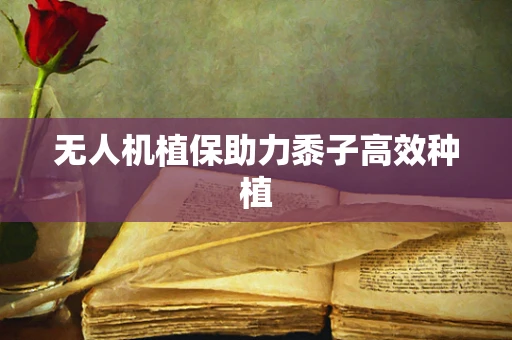 无人机植保助力黍子高效种植