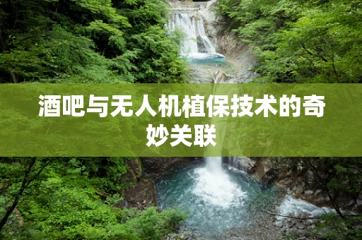 酒吧与无人机植保技术的奇妙关联