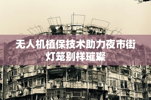 无人机植保技术助力夜市街灯笼别样璀璨