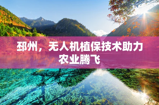 邳州，无人机植保技术助力农业腾飞