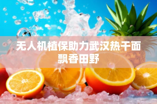 无人机植保助力武汉热干面飘香田野