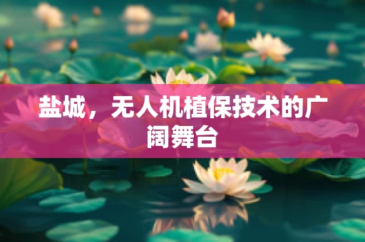 盐城，无人机植保技术的广阔舞台