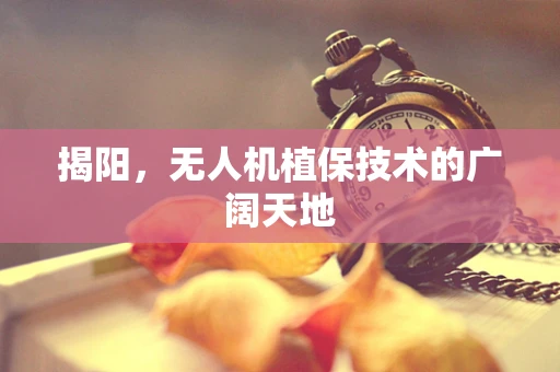 揭阳，无人机植保技术的广阔天地