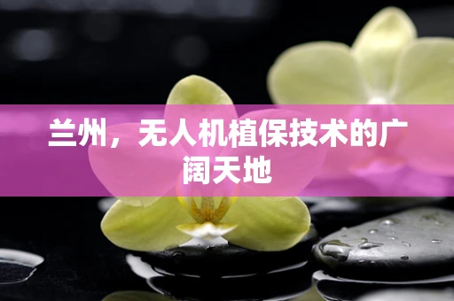 兰州，无人机植保技术的广阔天地