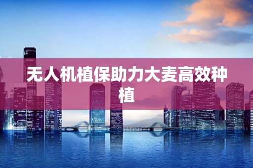 无人机植保助力大麦高效种植
